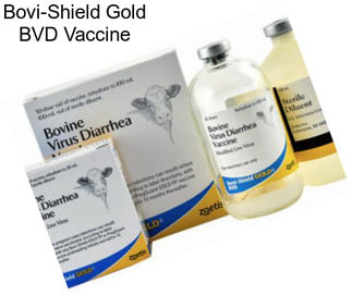 Bovi-Shield Gold BVD Vaccine