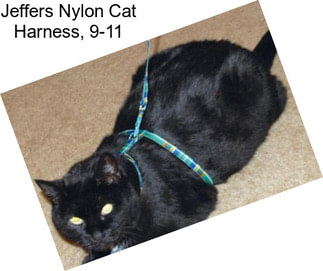 Jeffers Nylon Cat Harness, 9\