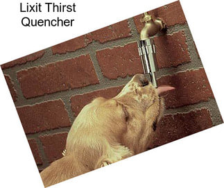 Lixit Thirst Quencher