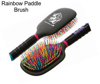 Rainbow Paddle Brush