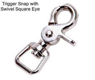 Trigger Snap with Swivel Square Eye