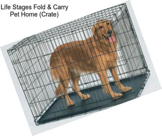 Life Stages Fold & Carry Pet Home (Crate)