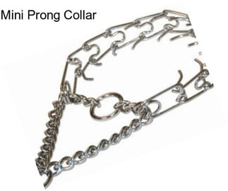 Mini Prong Collar