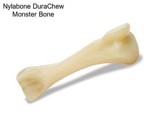 Nylabone DuraChew Monster Bone