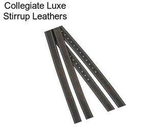 Collegiate Luxe Stirrup Leathers