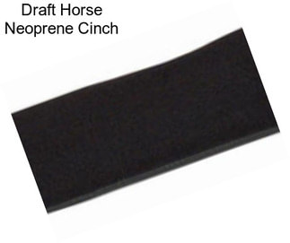 Draft Horse Neoprene Cinch