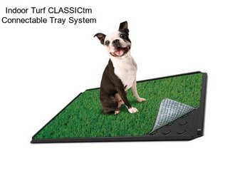 Indoor Turf CLASSICtm Connectable Tray System