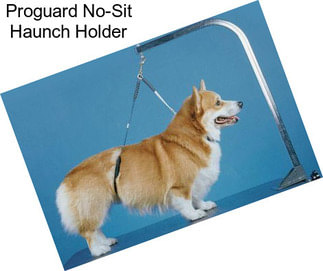 Proguard No-Sit Haunch Holder