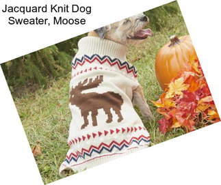 Jacquard Knit Dog Sweater, Moose