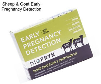 Sheep & Goat Early Pregnancy Detection