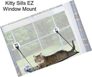 Kitty Sills EZ Window Mount