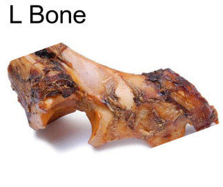 L Bone