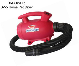 X-POWER B-55 Home Pet Dryer