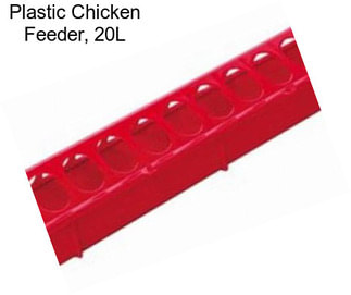 Plastic Chicken Feeder, 20\