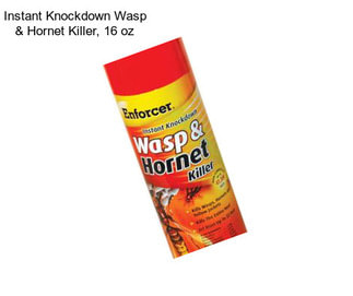 Instant Knockdown Wasp & Hornet Killer, 16 oz