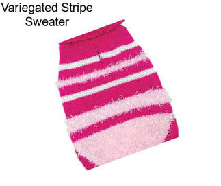 Variegated Stripe Sweater