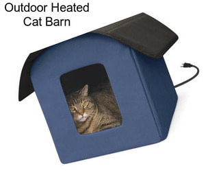Outdoor Heated Cat Barn