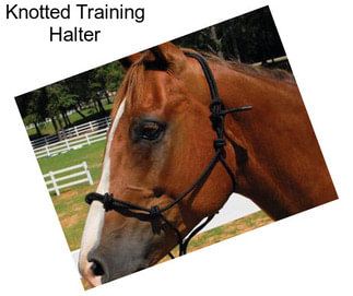 Knotted Training Halter