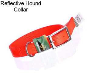 Reflective Hound Collar