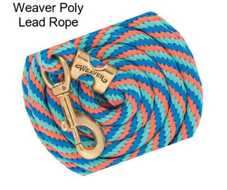 Weaver Poly Lead Rope