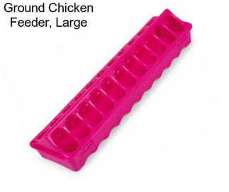 Ground Chicken Feeder, Large