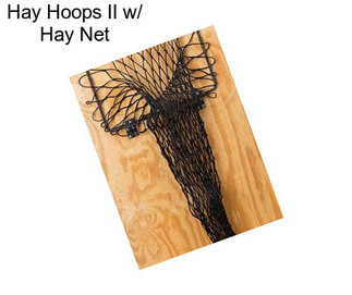Hay Hoops II w/ Hay Net