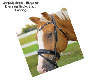 Uniquely English Elegance Dressage Bridle, Black Padding