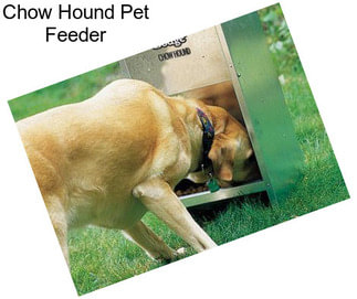 Chow Hound Pet Feeder