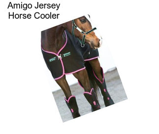 Amigo Jersey Horse Cooler