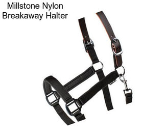 Millstone Nylon Breakaway Halter