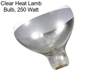 Clear Heat Lamb Bulb, 250 Watt