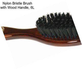 Nylon Bristle Brush with Wood Handle, 6\