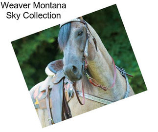 Weaver Montana Sky Collection