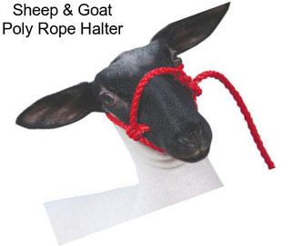 Sheep & Goat Poly Rope Halter