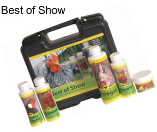 Best of Show