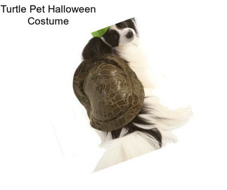 Turtle Pet Halloween Costume