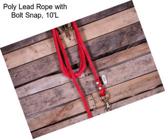 Poly Lead Rope with Bolt Snap, 10\'L