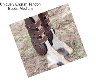 Uniquely English Tendon Boots, Medium