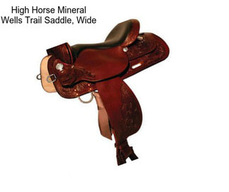 High Horse Mineral Wells Trail Saddle, Wide