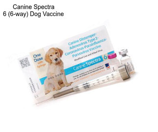 Canine Spectra 6 (6-way) Dog Vaccine