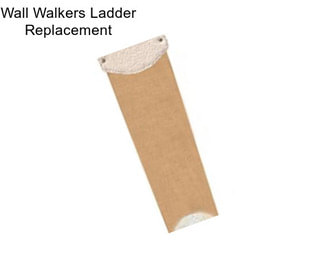 Wall Walkers Ladder Replacement