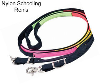 Nylon Schooling Reins