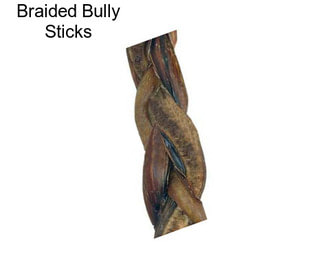 Braided Bully Sticks