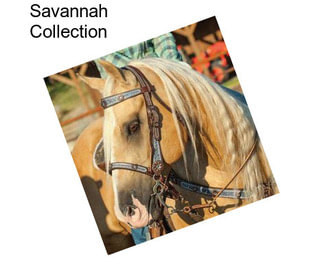 Savannah Collection