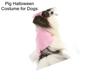 Pig Halloween Costume for Dogs