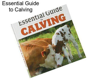 Essential Guide to Calving