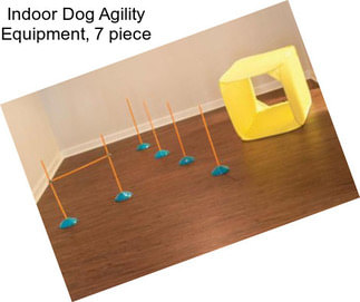 Indoor Dog Agility Equipment, 7 piece