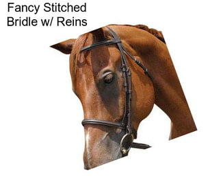 Fancy Stitched Bridle w/ Reins