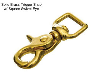 Solid Brass Trigger Snap w/ Square Swivel Eye