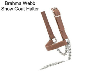 Brahma Webb Show Goat Halter